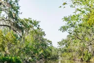 New Orleans Airboat Swamp Tour thumbnail 6