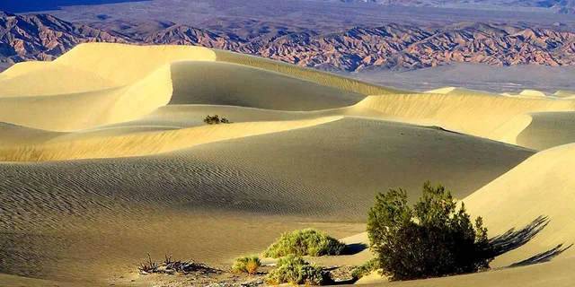 Las Vegas Death Valley Day Tour - Image 3
