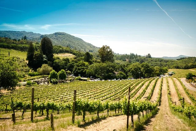 San Francisco Napa and Sonoma Wine Tour - Image 3