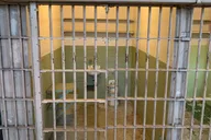 San Francisco Alcatraz, Muir Woods, and Sausalito Tour thumbnail 3