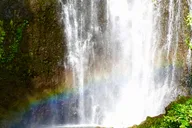 East Maui Rainforest and Road to Hana Tour thumbnail 1