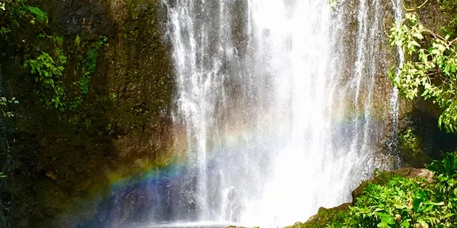East Maui Rainforest and Road to Hana Tour - Image 1