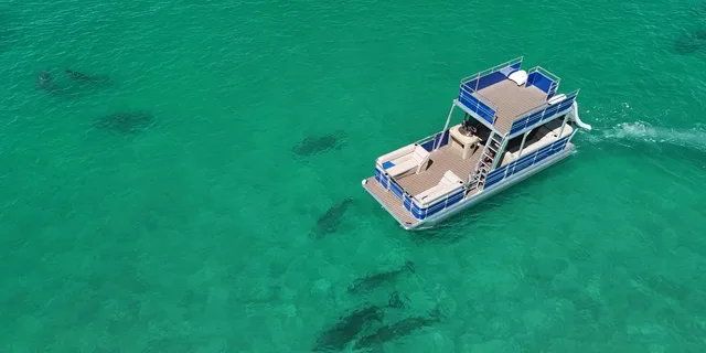 Panama City Pontoon Boat Rental with Slides - Image 5