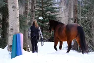 Yoga with Horses 90 min thumbnail 5
