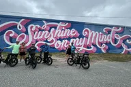 St Petersburg E-Bike Tour: Sights & Murals thumbnail 3