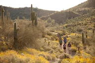 Scottsdale Sonoran Desert Guided Hike 2 hr thumbnail 5