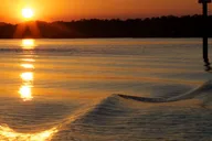 Hilton Head Dolphin Cruise at Sunset 90 min thumbnail 1