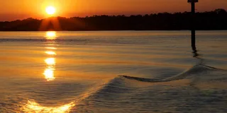 Hilton Head Dolphin Cruise at Sunset 90 min