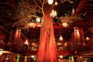Los Angeles Downtown Speakeasy and Rooftop Bar Tour thumbnail 1