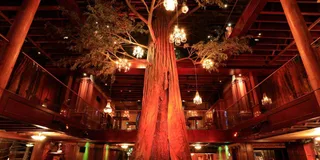 Los Angeles Downtown Speakeasy and Rooftop Bar Tour