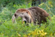 Grand Teton Photography Workshop thumbnail 2