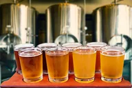 Charleston Winery, Brewery & Sightseeing Tour thumbnail 5