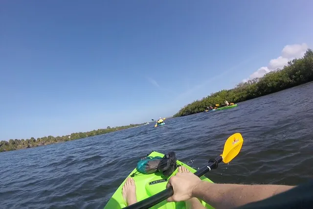 Venice Kayak Tour - Image 3
