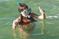 Miami Snorkel Adventure and Sandbar Trip 2 hr thumbnail 3
