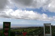 Maui Road to Hana Scenic Drive with Breakfast & Lunch thumbnail 2