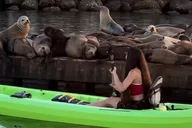 Redondo Beach Kayak Tour with Sea Lions thumbnail 6