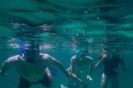 Destin Reef Snorkeling Adventure thumbnail 1