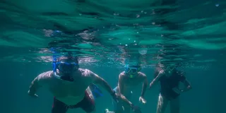 Destin Reef Snorkeling Adventure