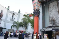 Los Angeles City Highlights Tour with Cruise Pickup thumbnail 4