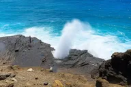 Oahu Circle Island Tour North Shore and East Side thumbnail 3