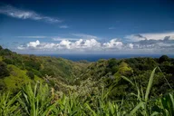 Maui Road to Hana Adventure with Farm-to-Table Lunch thumbnail 4