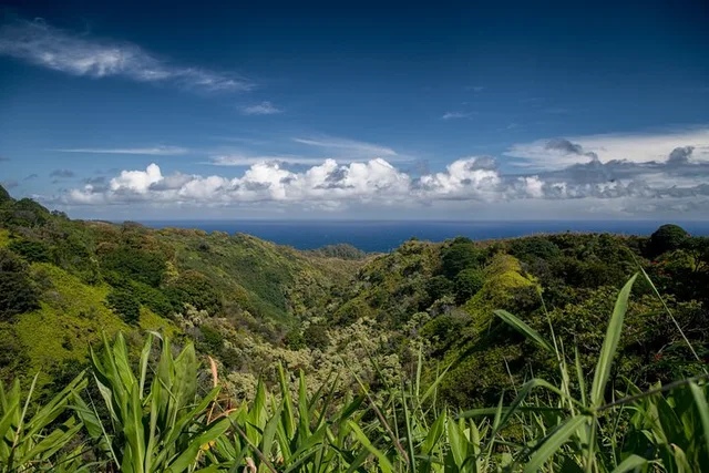 Maui Road to Hana Adventure with Farm-to-Table Lunch - Image 4