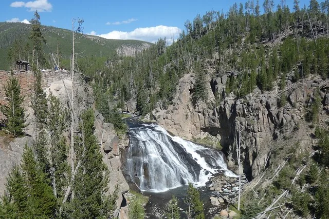 Yellowstone Lower Loop Tour - Image 5