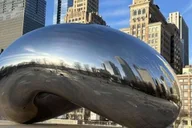 Chicago Walking Tour with a Guide thumbnail 3