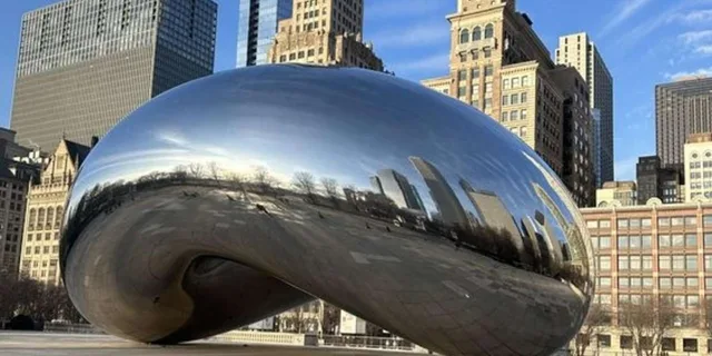 Chicago Walking Tour with a Guide - Image 3