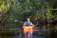 Everglades Guided Kayak Tour thumbnail 1