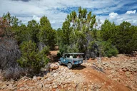 Zion East Rim Jeep Tour thumbnail 4