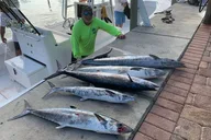 Key West Fishing Charter 4 Hr thumbnail 5