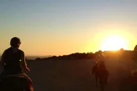 Los Angeles Horseback Riding Tour in Griffith Park thumbnail 5