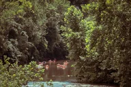 Roanoke River Tube Rental with Shuttle 2 hr thumbnail 6