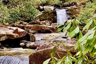 Great Smoky Mountains Hiking Tour thumbnail 4