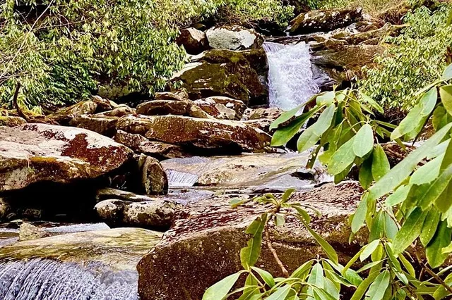 Great Smoky Mountains Hiking Tour - Image 4