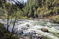 Seattle Wine and Waterfall Day Tour thumbnail 4