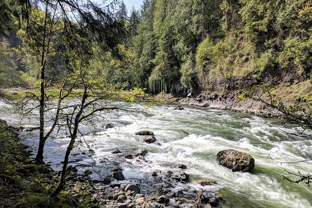 Seattle Wine and Waterfall Day Tour - Image 4