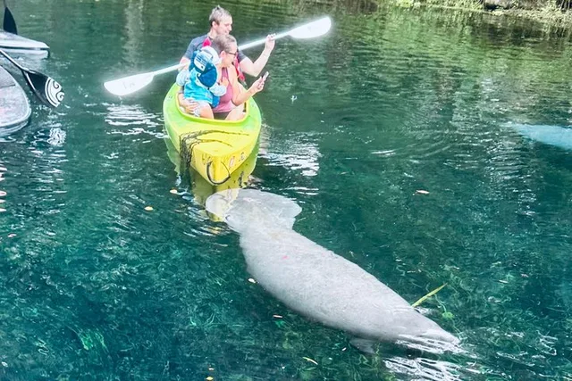 Silver Springs Clear Kayak Tour with Manatees and Monkeys - Image 2