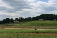 Delano Amish Community Visit with Wine Tasting thumbnail 2