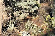 Sedona Sightseeing Tour thumbnail 5