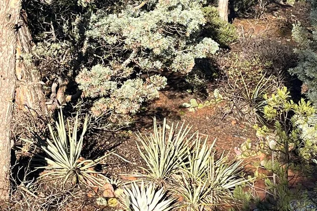 Sedona Sightseeing Tour - Image 5