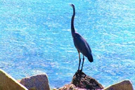 Miami Beach South Point Park Walking Tour 90 min thumbnail 3