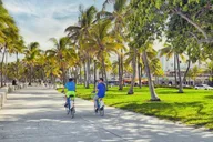 Miami City Tour with Private Driver 4 hr thumbnail 5