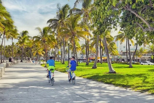 Miami City Tour with Private Driver 4 hr - Image 5