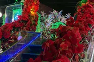 New York City Christmas Lights Bus Tour thumbnail 6