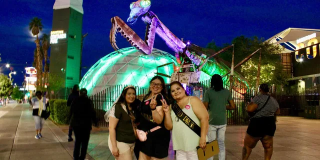 Las Vegas Limo Tour with Meal & Drinks 2 hr - Image 5