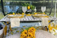 Tallahassee Picnic Experience at Pedrick Pond Park thumbnail 2