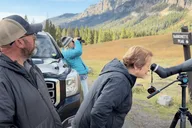 Yellowstone Private Lower Loop Tour with Lunch thumbnail 5