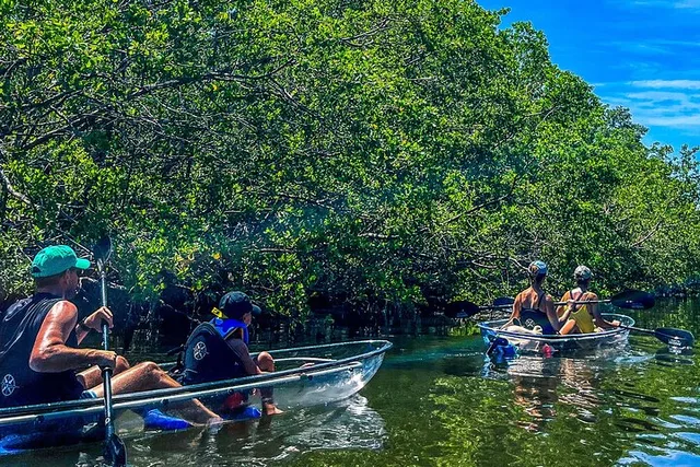 Bradenton Clear Kayak Ecotour - Image 5